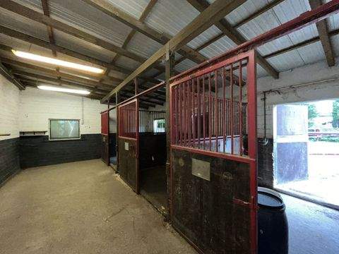 Eggenstein-Leopoldshafen Renditeobjekte, Mehrfamilienhäuser, Geschäftshäuser, Kapitalanlage