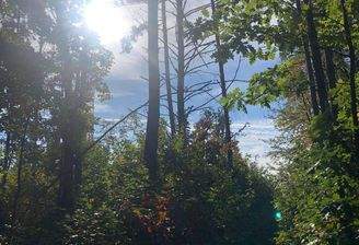 Steinberg am See (25).jpeg