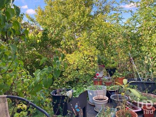 Blick von der Terrasse