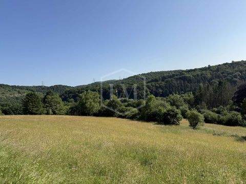 Wuppertal Bauernhöfe, Landwirtschaft, Wuppertal Forstwirtschaft
