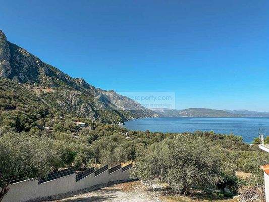 e3ee126387fd44ee8bbcd32123300625-original