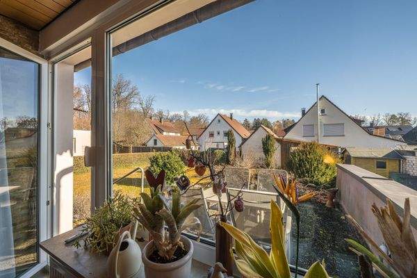 Blick zu Terrasse,Garten