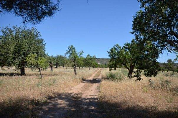 Traditioneller Landsitz zum Verkauf nahe Palma de Mallorca