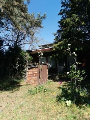 Bungalow.jpg