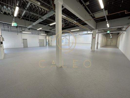 Innenaufnahme - Halle 3