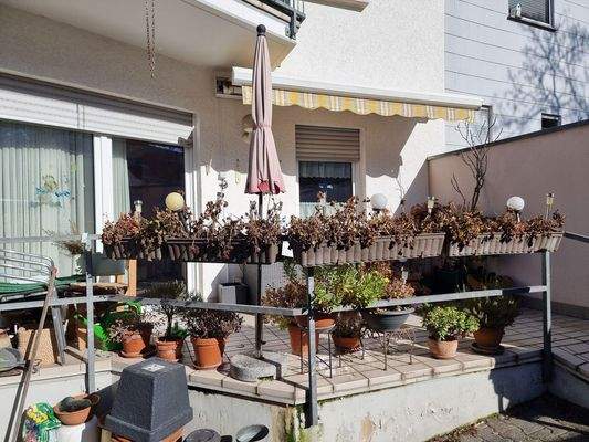 Terrasse EG vom Frühjahr