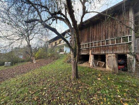 Garten und Südansicht