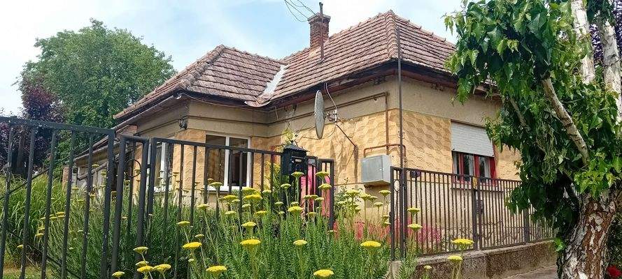 2 20240526_105009.jpg