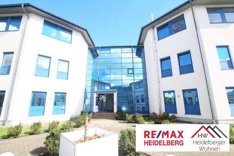 St. Leon-Rot Halle, St. Leon-Rot Hallenfläche