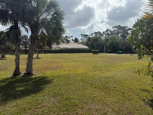 Florida 9.jpg