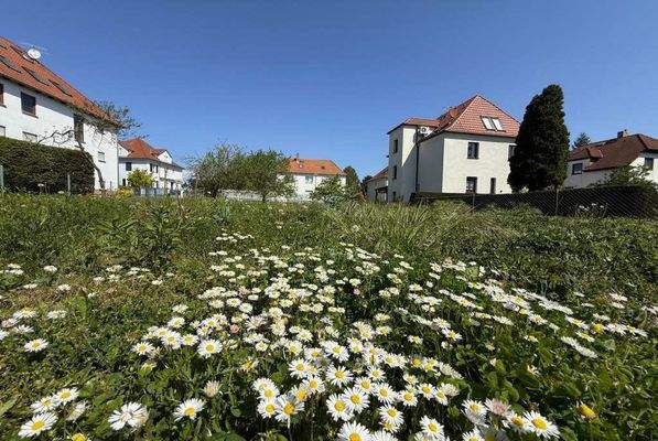 Bild6