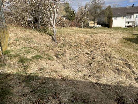 Hinterer Teil Grundstück