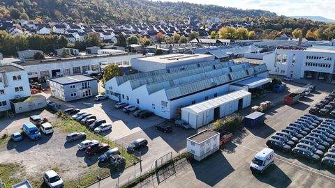 Remshalden / Grunbach Halle, Remshalden / Grunbach Hallenfläche