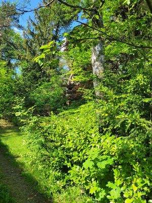 Ausschnitt Grundstück