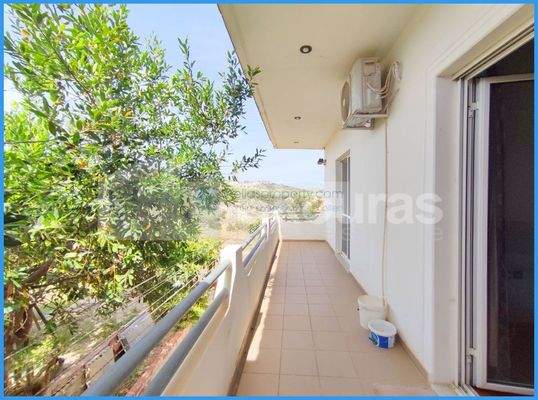 img_36348df2-2f8e-4423-9a90-1e5ad5c1100f