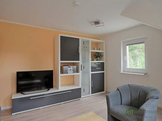 Schrankwand, TV und Radio