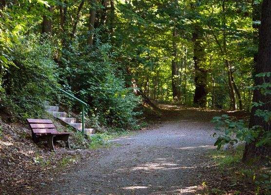 Erholung in grüner Umgebung