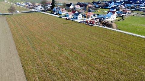 Kammeltal Bauernhöfe, Landwirtschaft, Kammeltal Forstwirtschaft