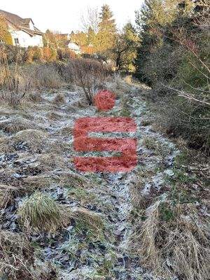 oberer Grundstücksteil (Flurst. 104)