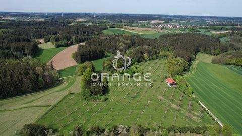 Aichach Bauernhöfe, Landwirtschaft, Aichach Forstwirtschaft