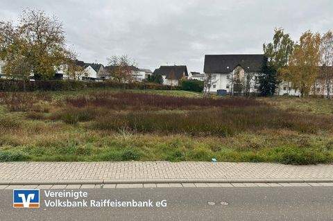 Birkenfeld Grundstücke, Birkenfeld Grundstück kaufen