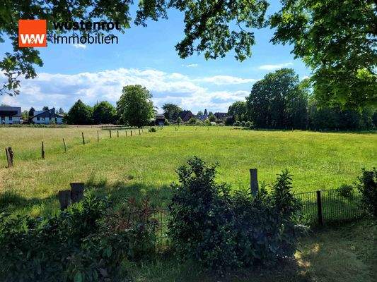malerischer Blick ins Grüne auf die unmittelbar an den Garten angrenzende Koppel