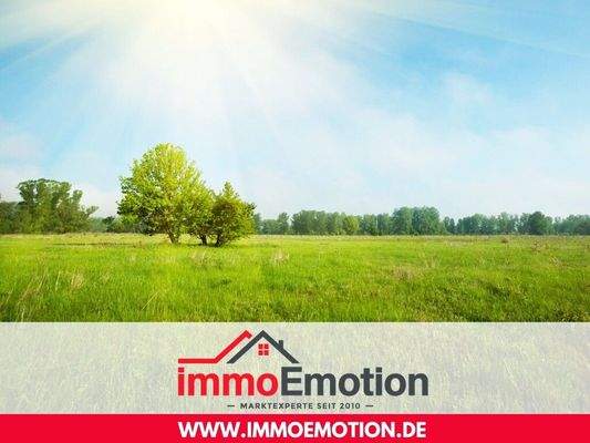 Land &amp; Forstwirtschaftliche-Fläche-in Witzenausen-