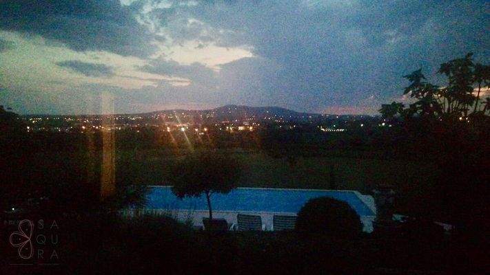 49796964-da98-41aa-8eec-43fc1ed38ef4