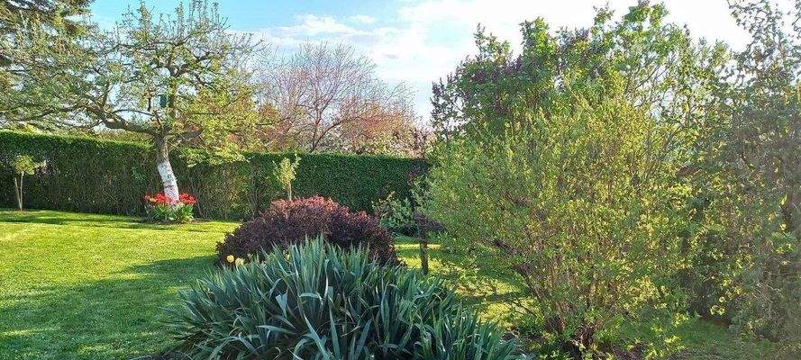 Gartenimpressionen des letzten Jahres (9).JPG