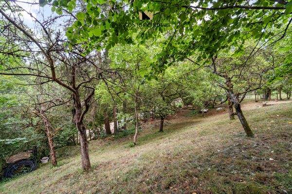 Artenreichtum in Flora und Fauna