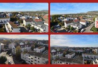 Blick wie kein Zweiter