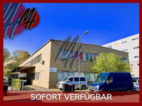 Langen Halle, Langen Hallenfläche