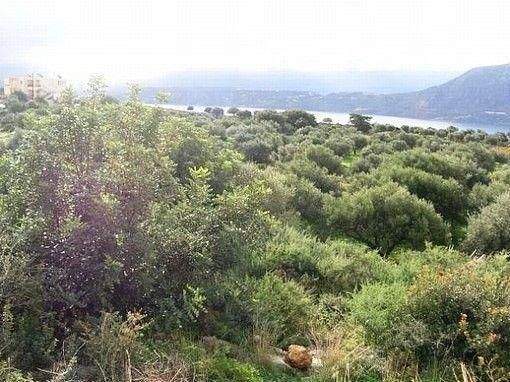 Kreta, Aroni: Land mit Panoramablick auf die Bucht von Souda zu verkaufen