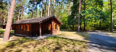 Colbitz Häuser, Colbitz Haus kaufen