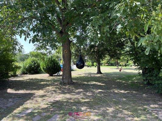 In DEN Garten! Das Paradies für Hobbygärtner, Kinder und Haustiere.