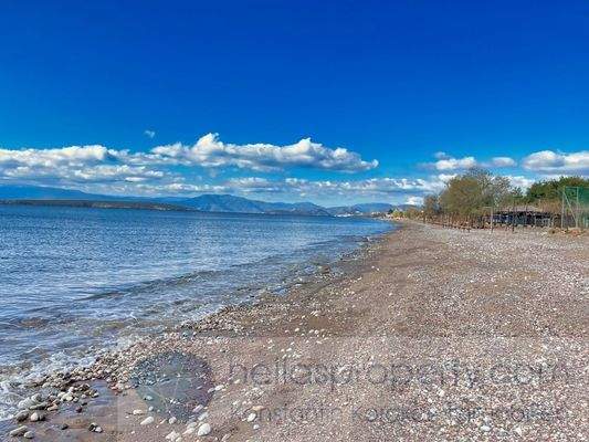 img_c83aab8a-0d70-4420-a66d-0ceb186fb321