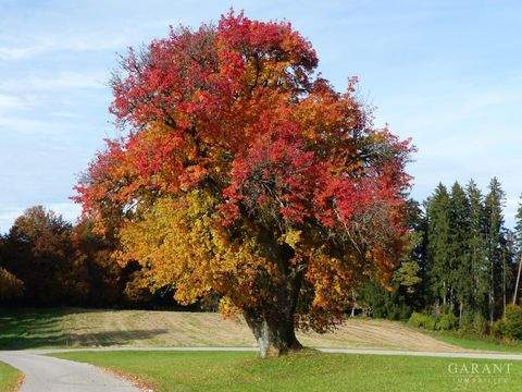 Teisendorf Häuser, Teisendorf Haus kaufen