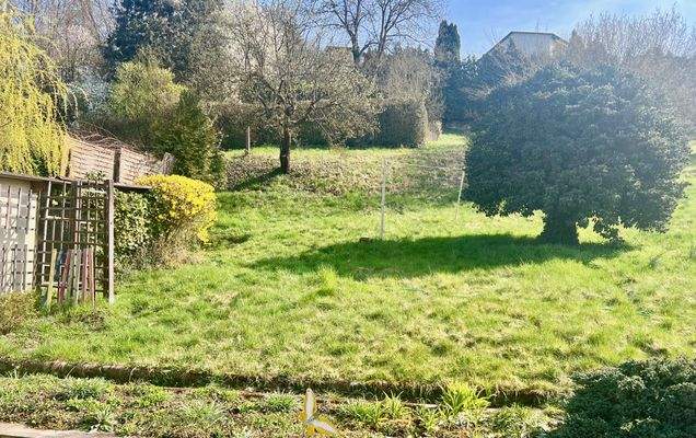 Garten hinter dem Haus