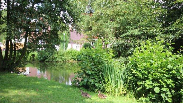 Nahegelegener "Ententeich" - Grüne Oase