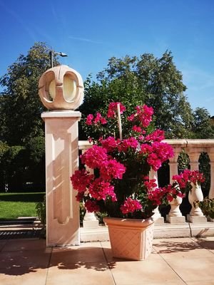 Blumen wie im Süden inklusive