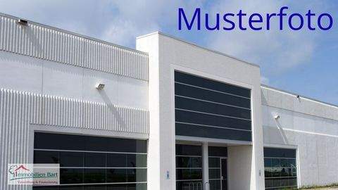 Perl / Besch Halle, Perl / Besch Hallenfläche