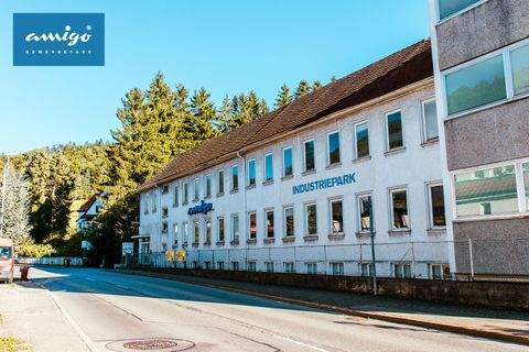 Albstadt Halle, Albstadt Hallenfläche