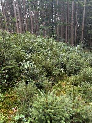 2025-08-22 15.34.19.jpg