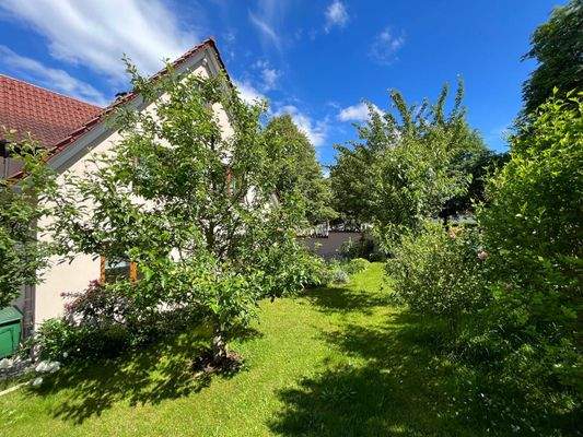 sonniger Garten1.jpg