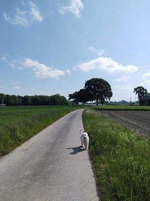 Wanderwege vor der neuen Haustür