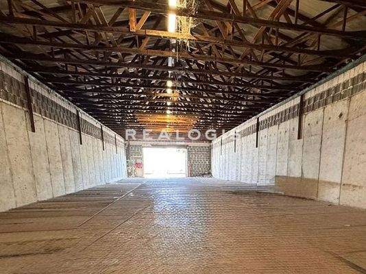 Halle 6 Innenansicht