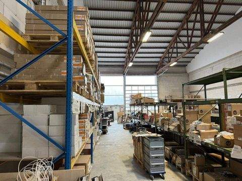 Bad Sassendorf Halle, Bad Sassendorf Hallenfläche