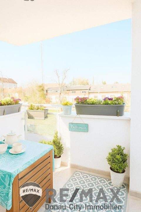 Vösendorf Wohnungen, Vösendorf Wohnung kaufen