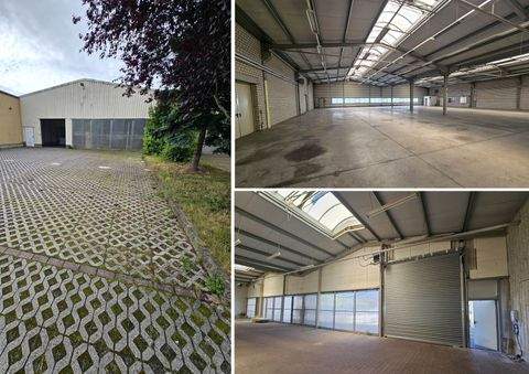 Markkleeberg Halle, Markkleeberg Hallenfläche