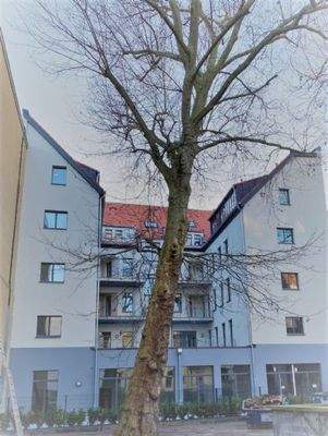 DAS BEETHOVEN Rückansicht